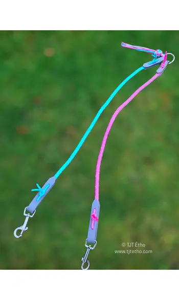 Coupleur de laisse pour 2 chiens