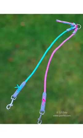 Coupleur de laisse pour 2 chiens