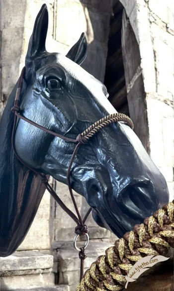 SMARAN Gilliane Senn