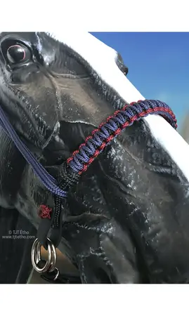 Muserolle side pull MACRAME