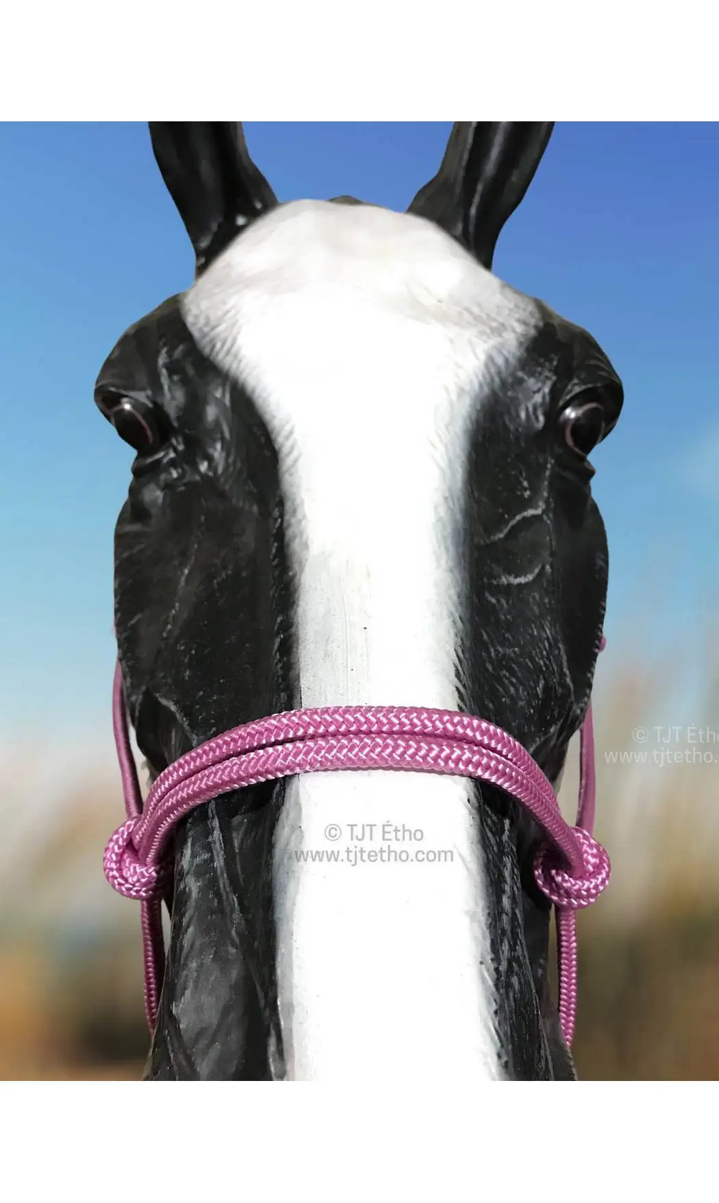 Licol side sans nœud d'attache