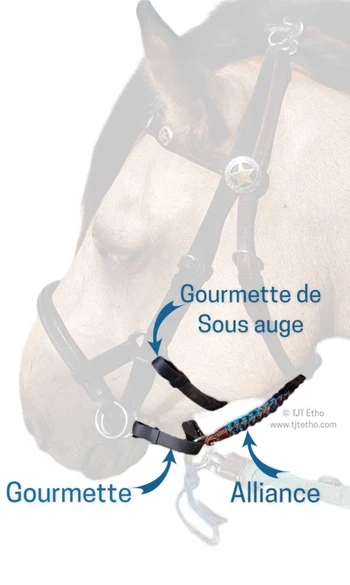 Alliances-Gourmettes