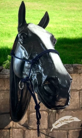 Licol side pull déporté nœud diamant