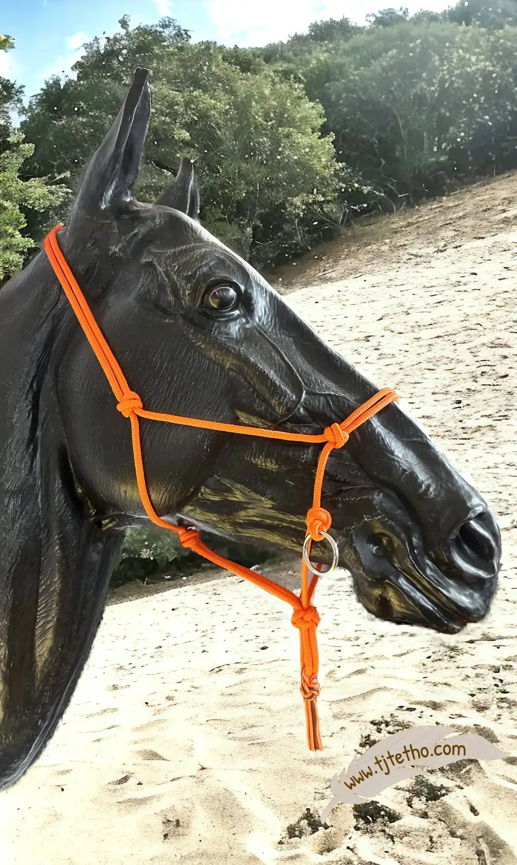 Licol side pull déporté nœud diamant