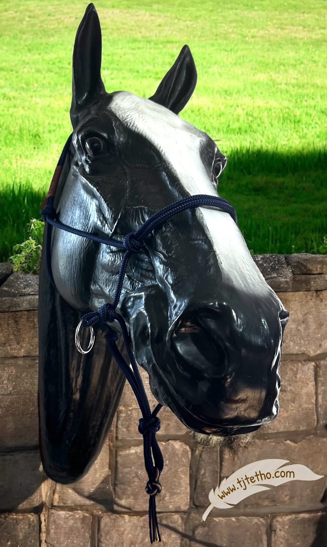 Licol side pull déporté nœud diamant