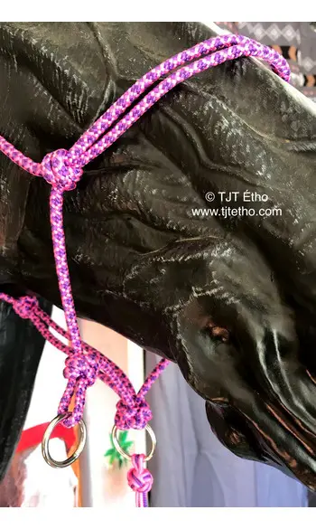 Licol side noeud diamant + anneau