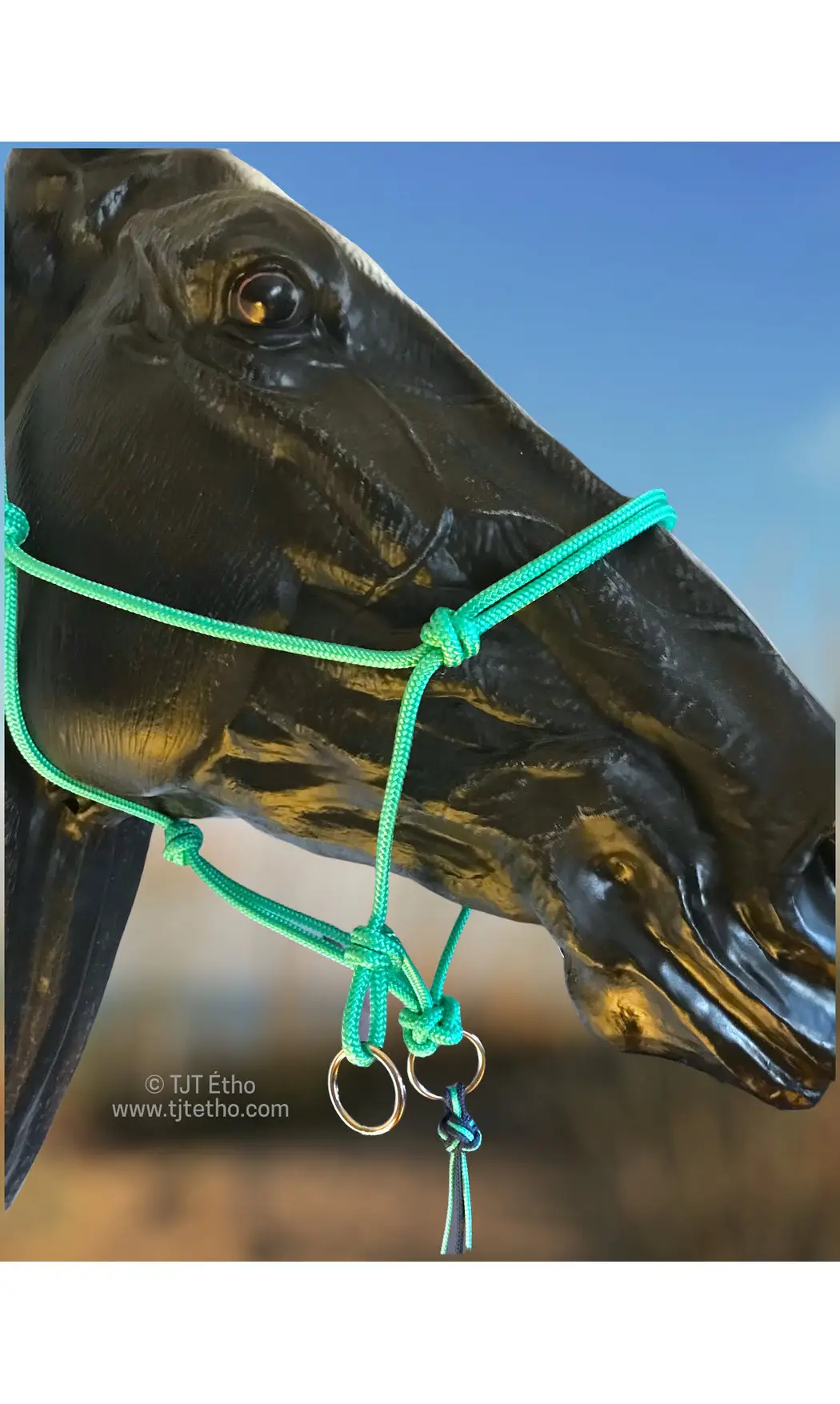 Licol side noeud diamant + anneau