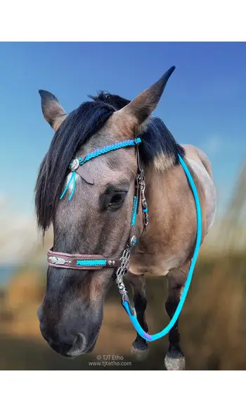 Bridon western You Two