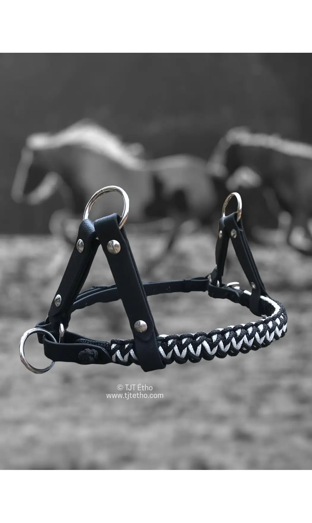 Muserolle de side pull Anatzi