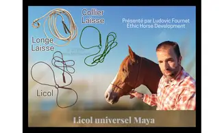 Licol universel 6mm/longe/collier