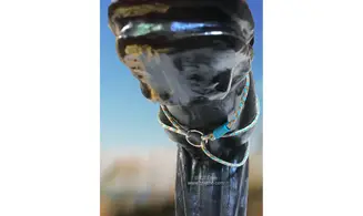 Licol universel 6mm/longe/collier