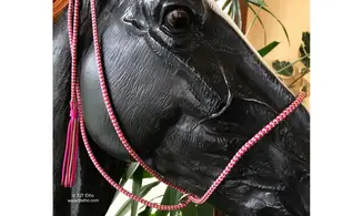 Licol universel 6mm/longe/collier