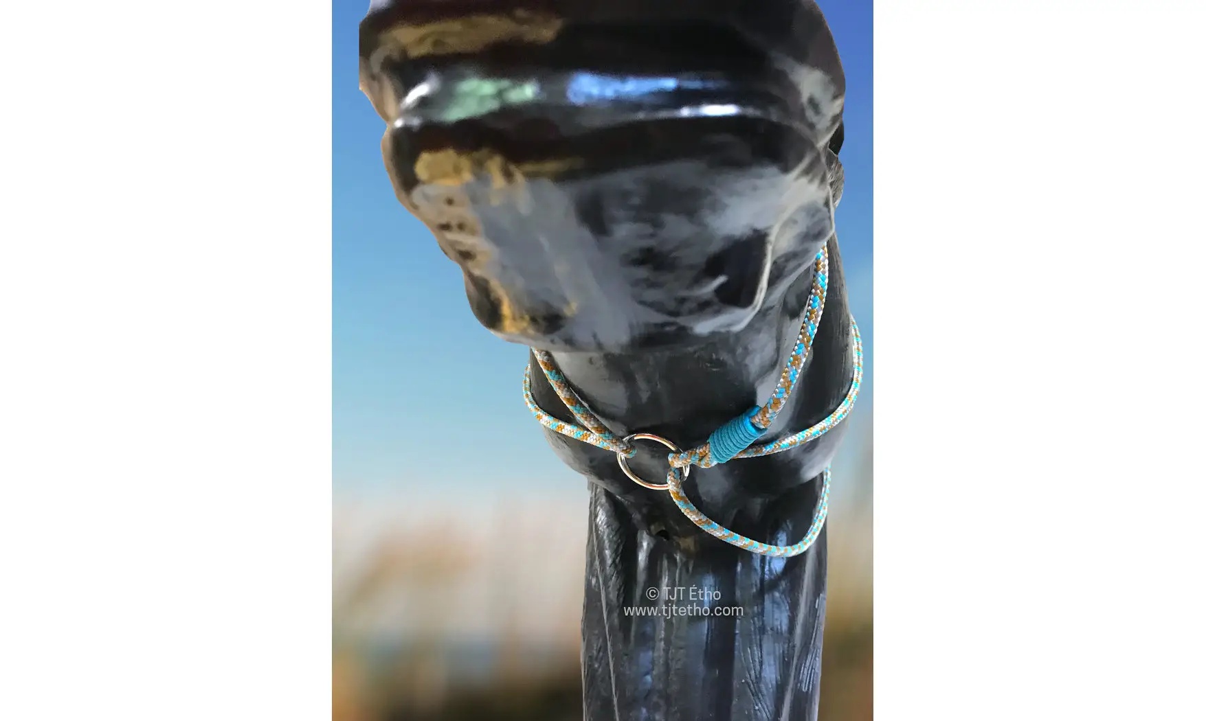 Licol universel 6mm/longe/collier