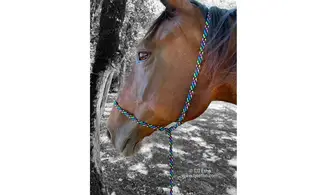 Licol universel plat 8mm/longe/collier