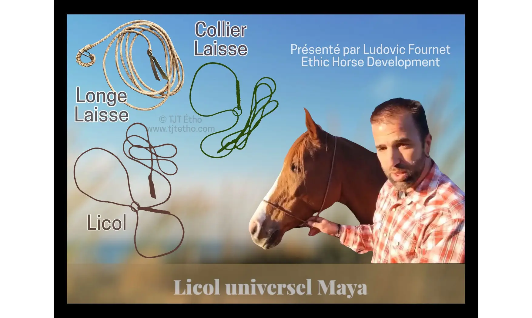 Licol universel plat 8mm/longe/collier