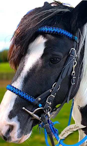 Uno 3 en 1 Biothane, licol, side, filet