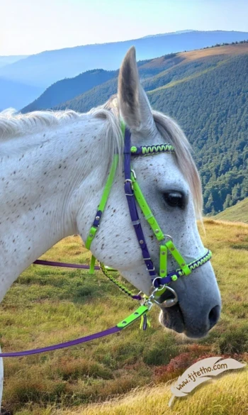 Uno 3 en 1 Biothane, licol, side, filet