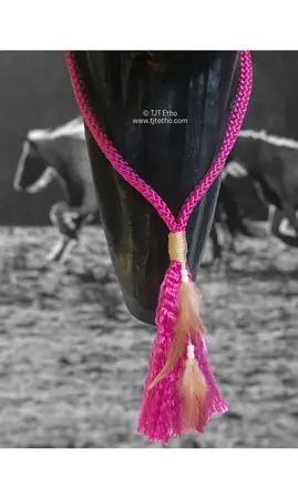 Cordéo avec Plume 12mm plat