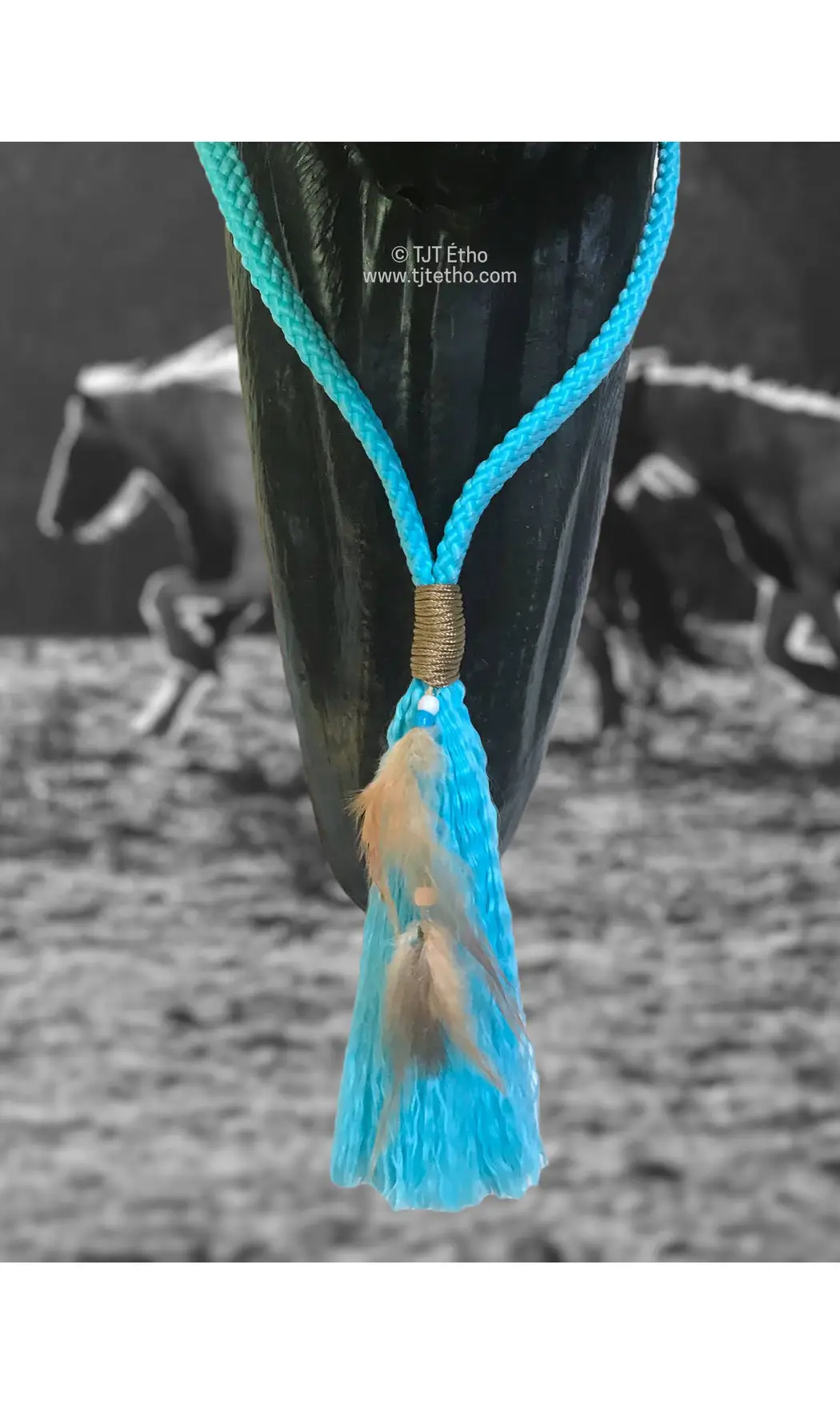 Cordéo avec Plume 12mm plat