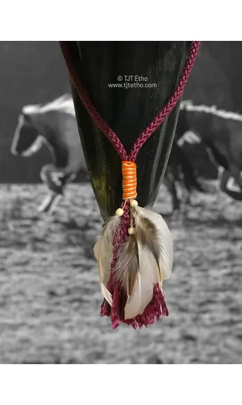 Cordéo avec Plume 8mm plat