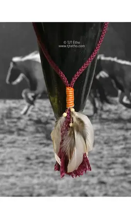 Cordéo avec Plume 8mm plat