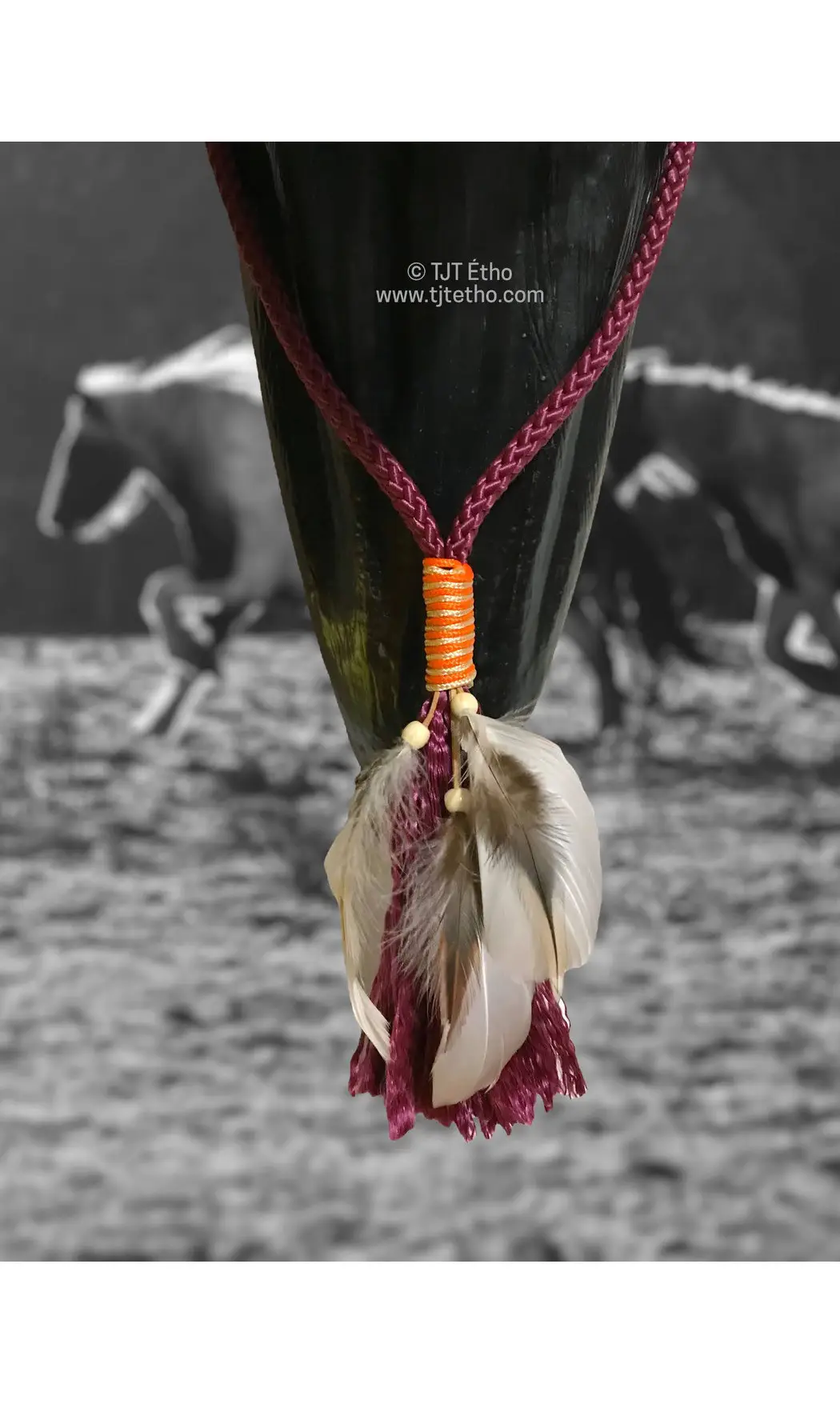 Cordéo avec Plume 8mm plat