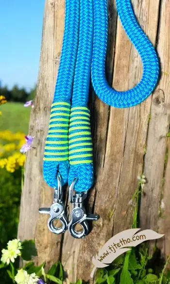 Option finition rêne