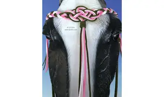 Frontal Seleña