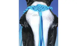 Frontal Seleña