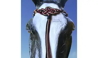 Frontal Seleña