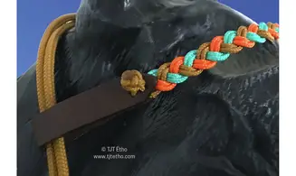 Frontal Seleña
