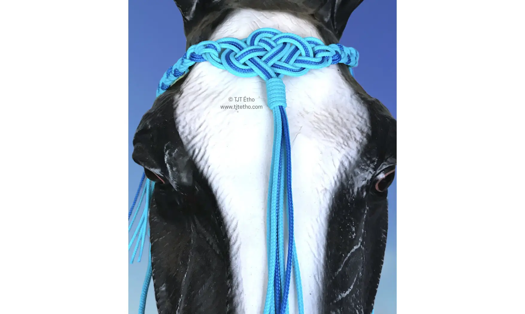 Frontal Seleña