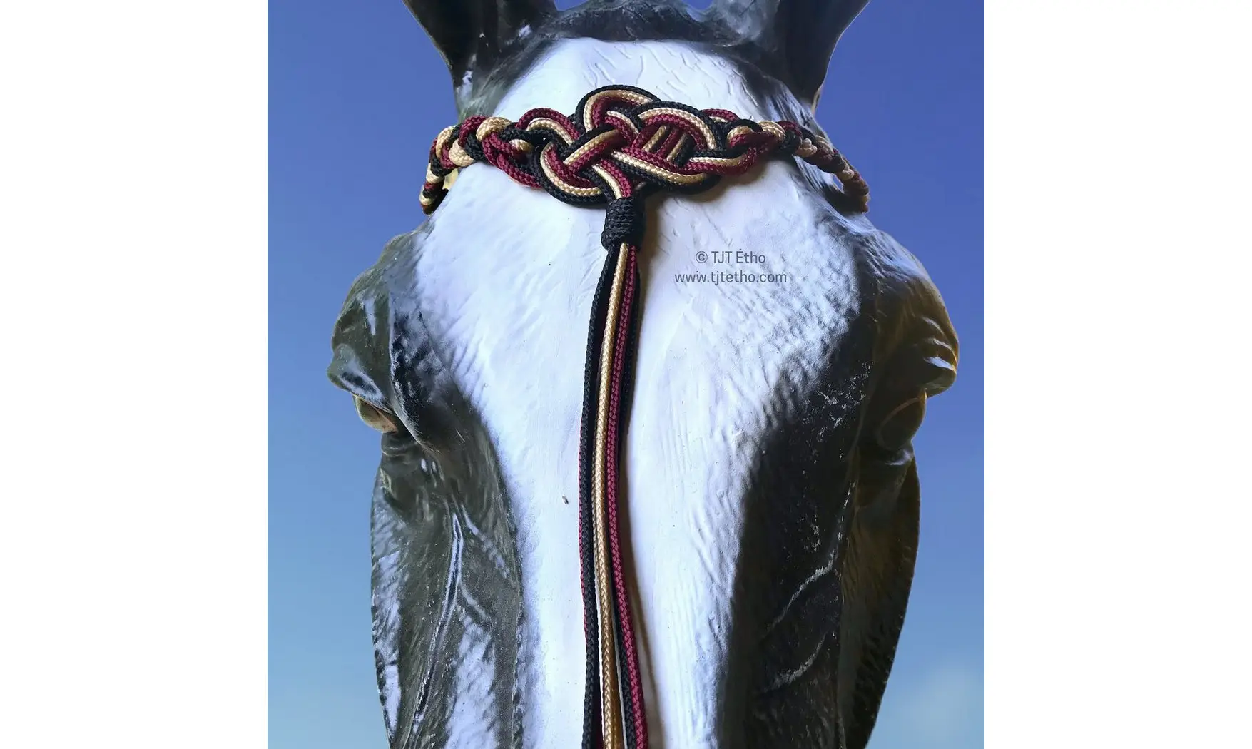 Frontal Seleña