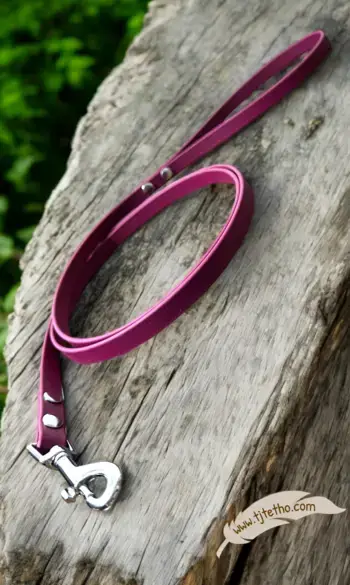 Laisse 1.50 à 2m en Biothane 13 mm