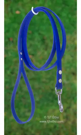 Laisse 1.50 à 2m en Biothane 13 mm