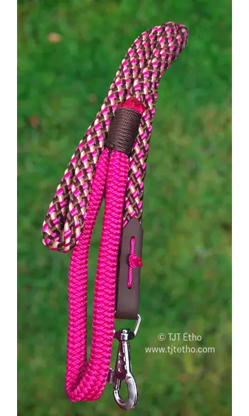 Laisse 1,50 à 2m - 12mm plat