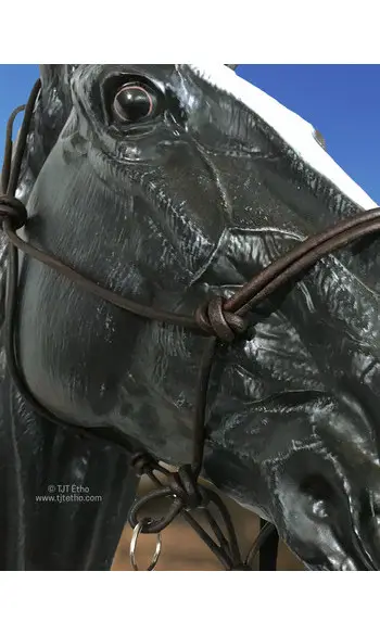 Licol side sans nœud d'attache en cuir