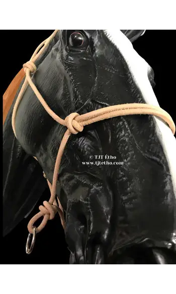 Licol side sans nœud d'attache en cuir