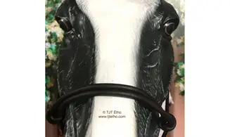 Licol Side en cuir ND