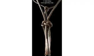 Licol Side en cuir ND