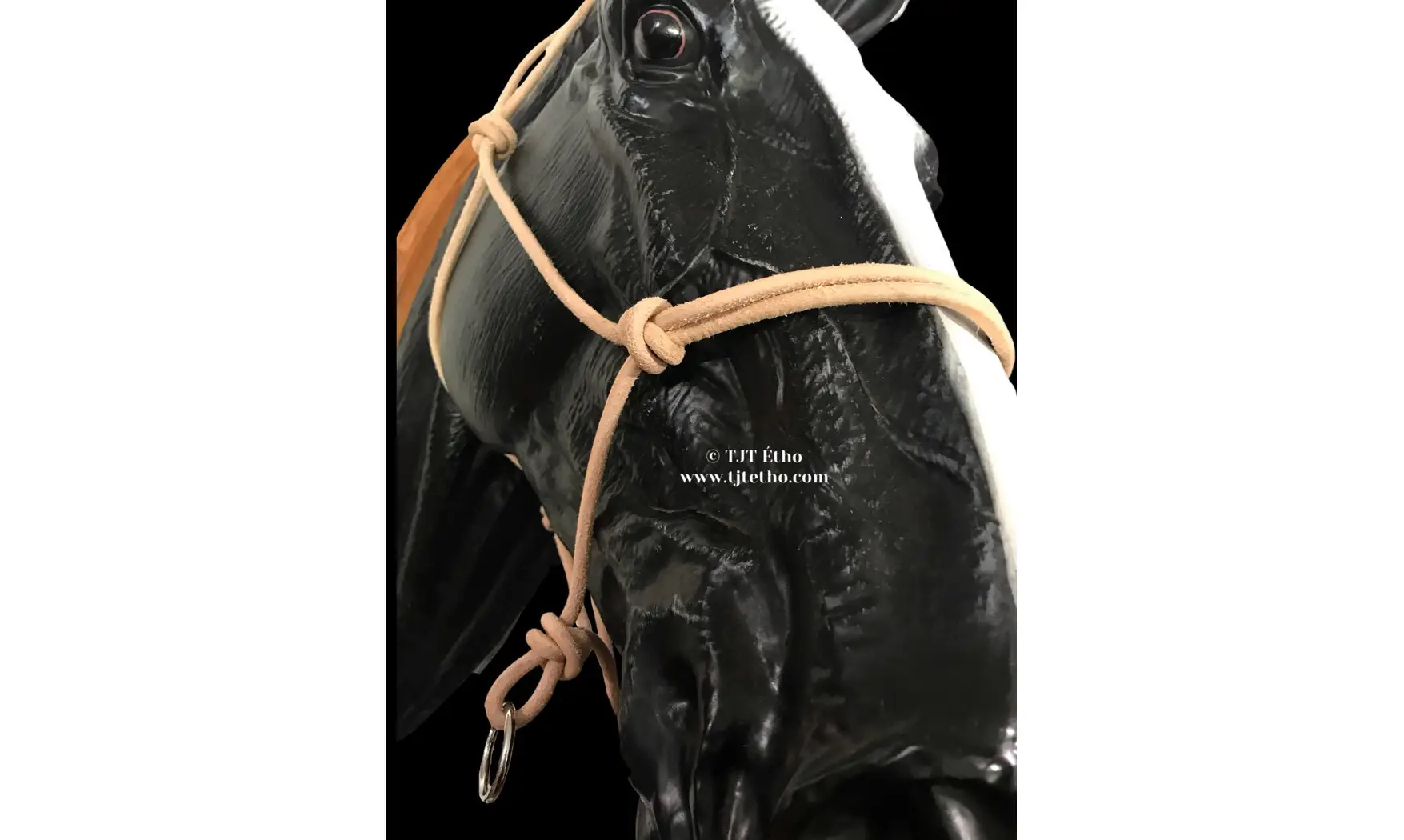 Licol Side en cuir ND