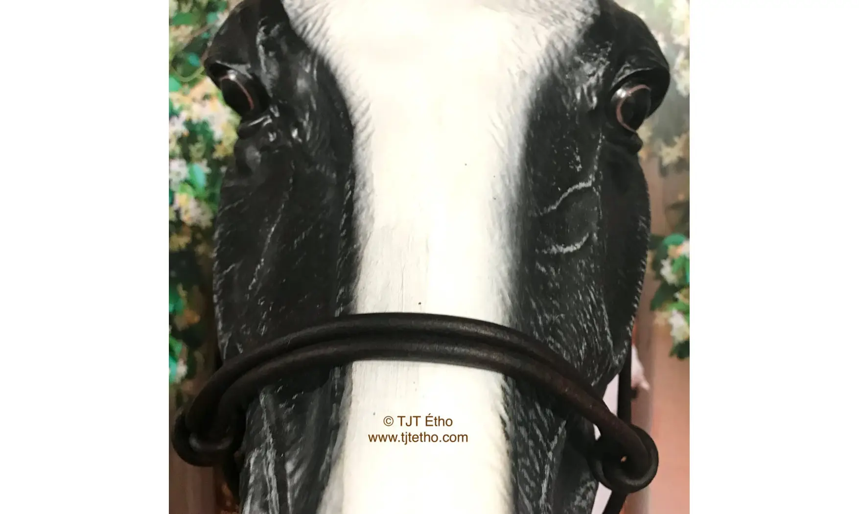 Licol Side en cuir ND