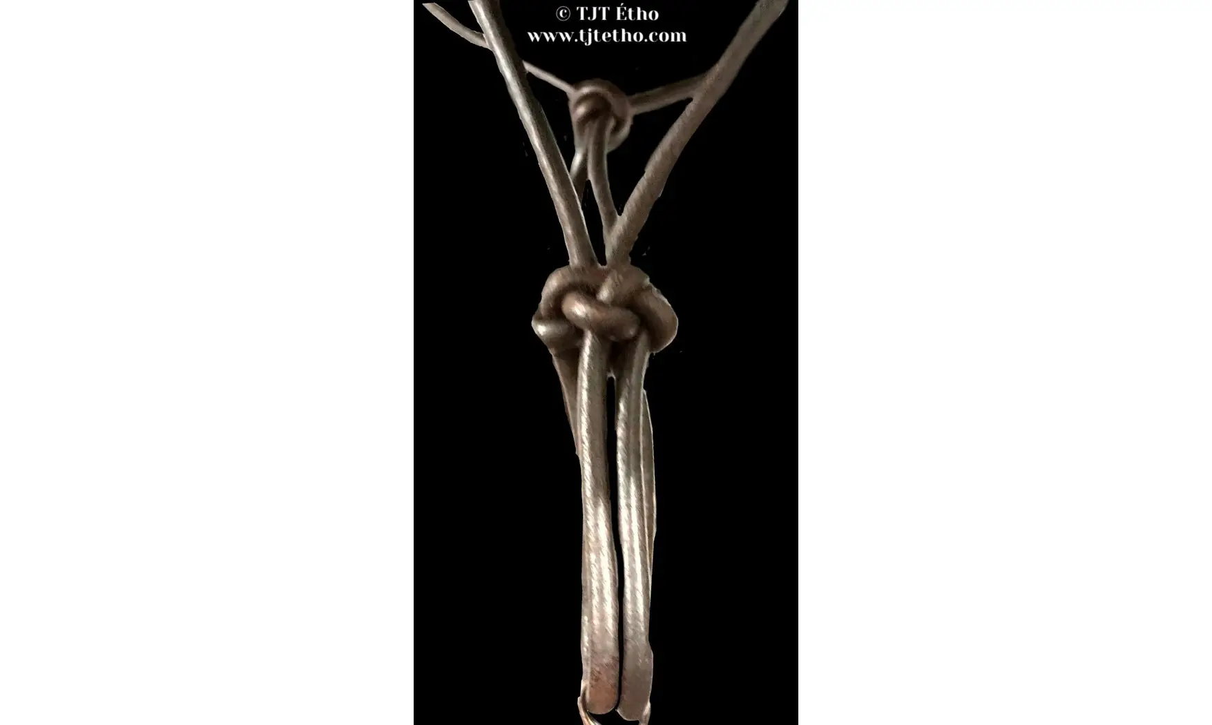 Licol Side en cuir ND