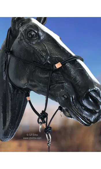 Licol side en cuir ND + anneau