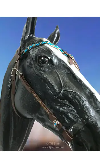 Bridon western Kally