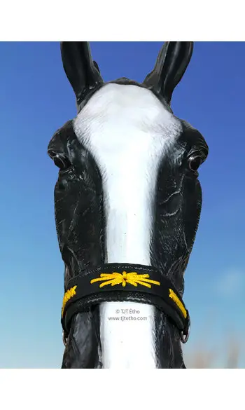 Dessus de Muserolle western