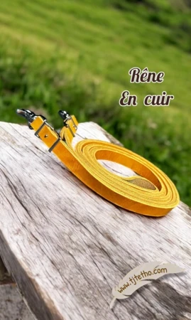 Rênes fermées en cuir vachette huilé HQ