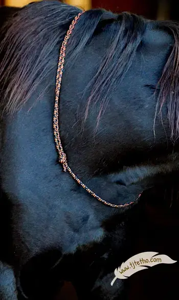 Collier d'encolure réglable