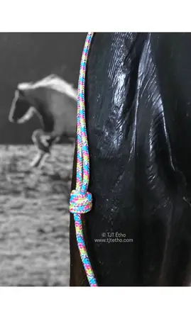 Collier d'encolure réglable