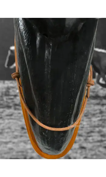 Collier d'encolure en cuir réglable